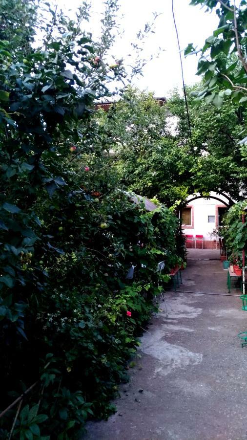Casa Din Gradina Villa Eforie Sud  Exterior foto