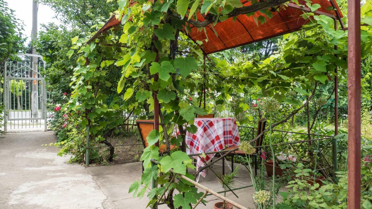 Casa Din Gradina Villa Eforie Sud  Exterior foto